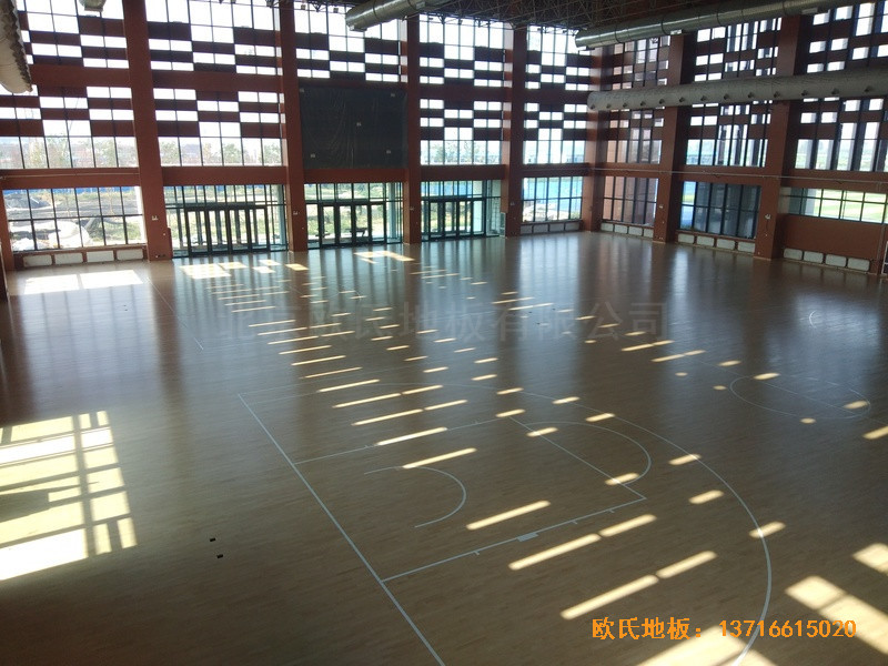 �ӱ����̴�W(xu��)��У�^(q��)�@���^�w��ľ�ذ尲�b����5