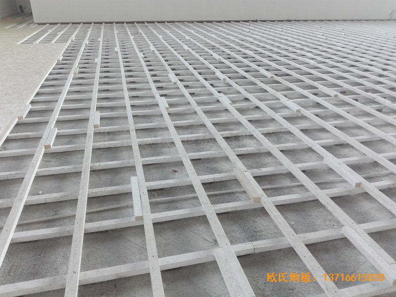 �������(y��ng)��ʮ���ЌW(xu��)�w���^�w��ľ�ذ���b����1