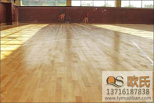 ��ľ�\�ӵذ�