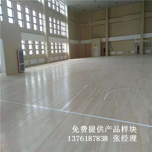 ɽ�|��(j��)��ѩɽС�W(xu��)�@����(d��ng)�w����(ch��ng)�^�\(y��n)��(d��ng)ľ�ذ尸��