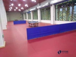 �@���\(y��n)��(d��ng)ľ�ذ屣�B(y��ng)֪�R(sh��)