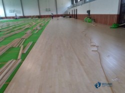 �е��w��ľ�ذ�S�҈�r