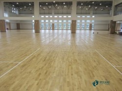 ُ�I���Ռ������_�\�ӵذ��Ă������^��