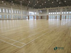 �����\(y��n)��ľ�ذ屣����