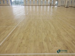 ����Щ�\��ľ�ذ��坍���B(y��ng)